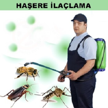 Göle Böcek İlaçlama